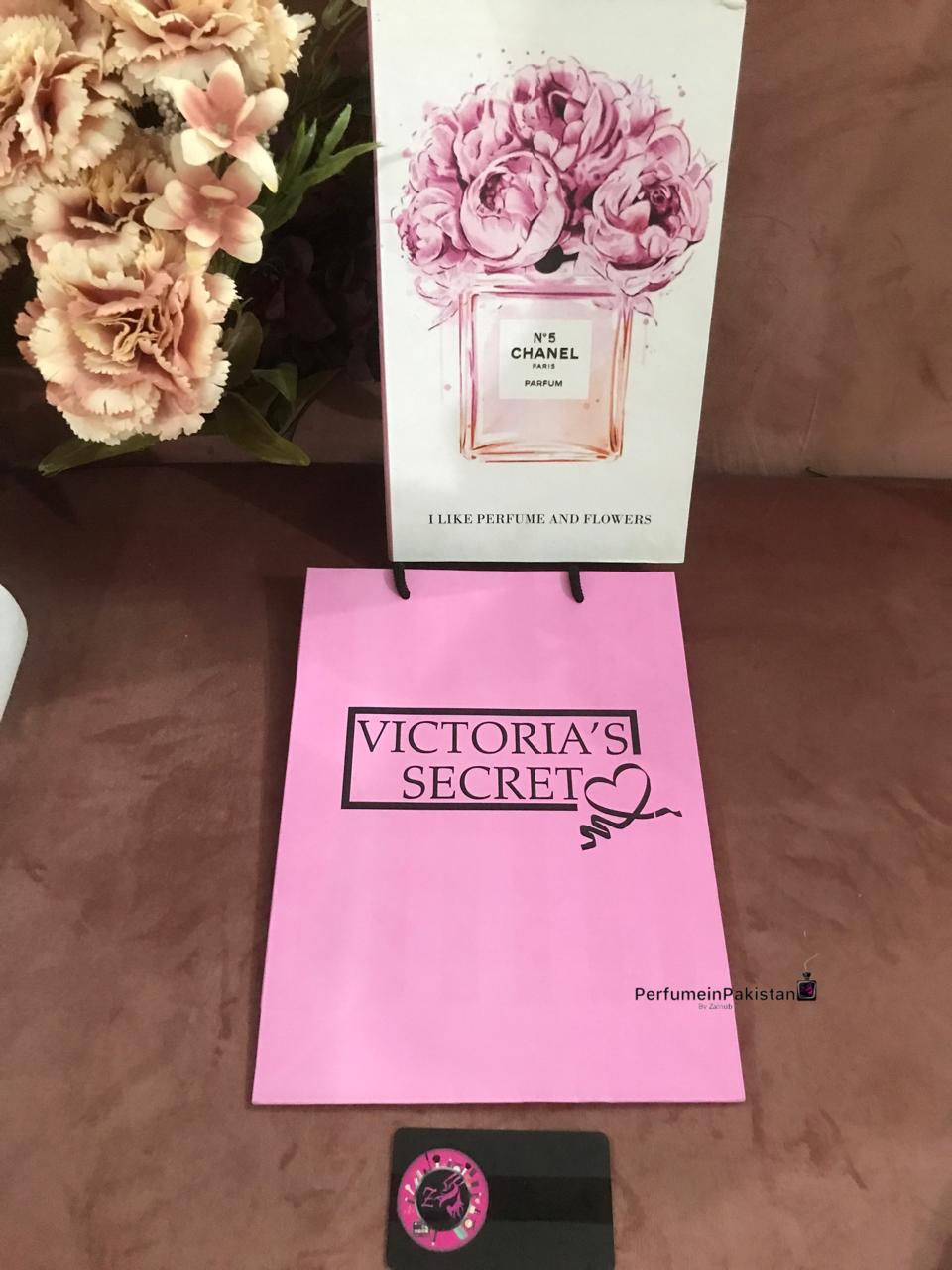 Victoria’s Secret Pink Gift Bag– Signature Edition